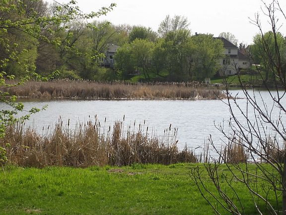 Enjoy the wildlife and birds on this 1.2 acre beautifully landscaped property 