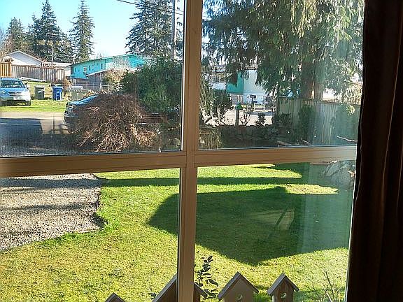 Front window and yard