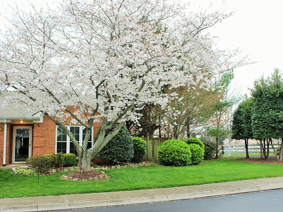 Unusually large corner lot