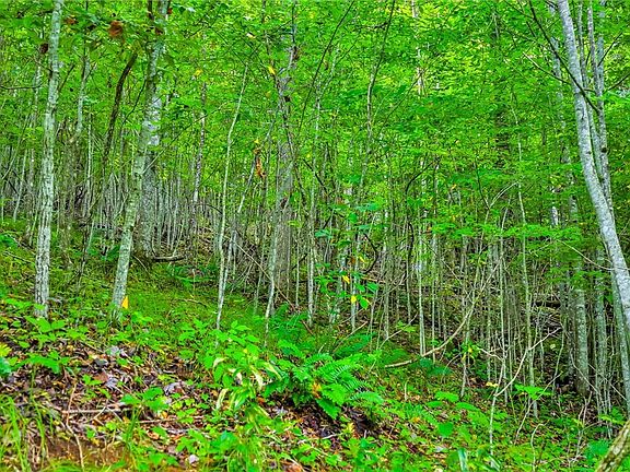 2nd image of TBD McKinley Ridge Road