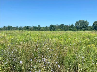0 County Route 8, Cape Vincent, NY, 13618