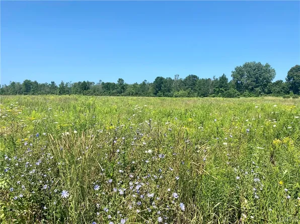 0 County Route 8, Cape Vincent, NY 13618