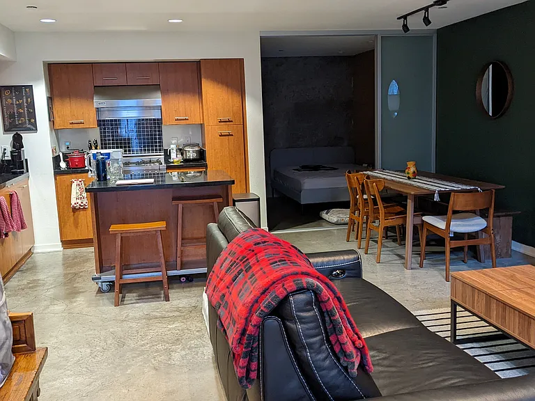 Downstairs - living room and kitchen