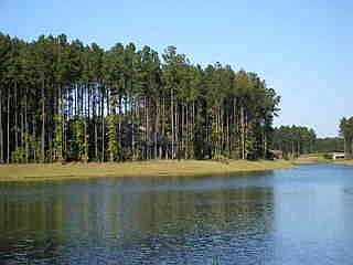 4th image of 10 Palmetto Cove Ct