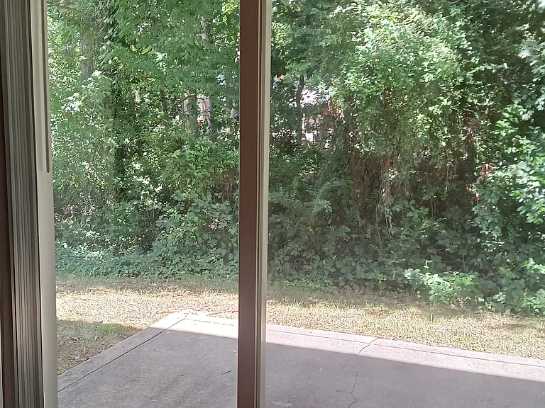 Back patio