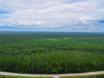 Tbd Catfish Lake Road, Maysville, NC, 28555