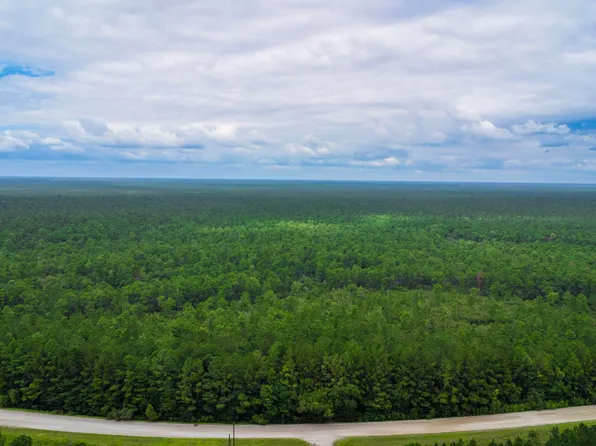 Tbd Catfish Lake Road, Maysville, NC 28555