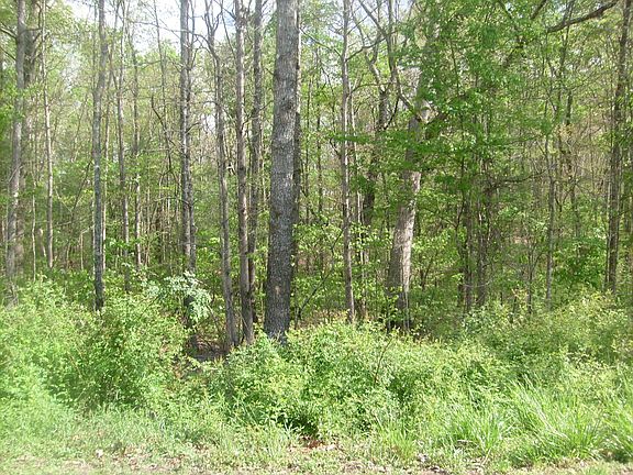 4th image of 528 Tsala Dr Lot 283