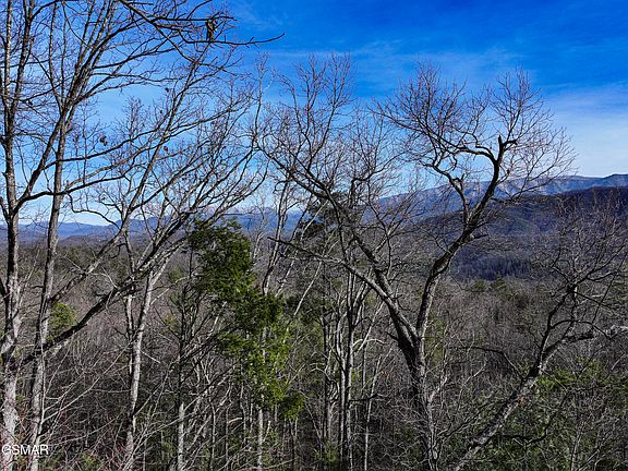 5th image of 0000 Henry Town Rd