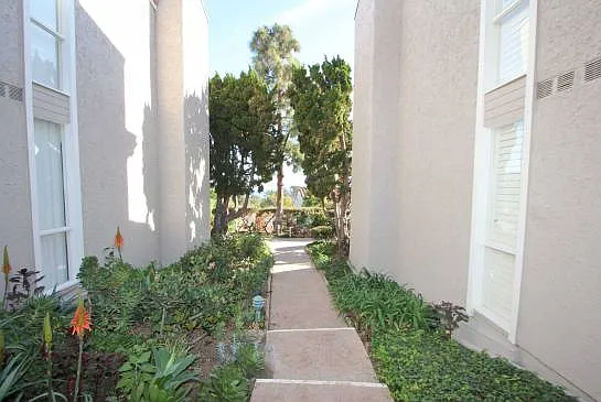 28310 Rey De Copas Ln — Photo 19