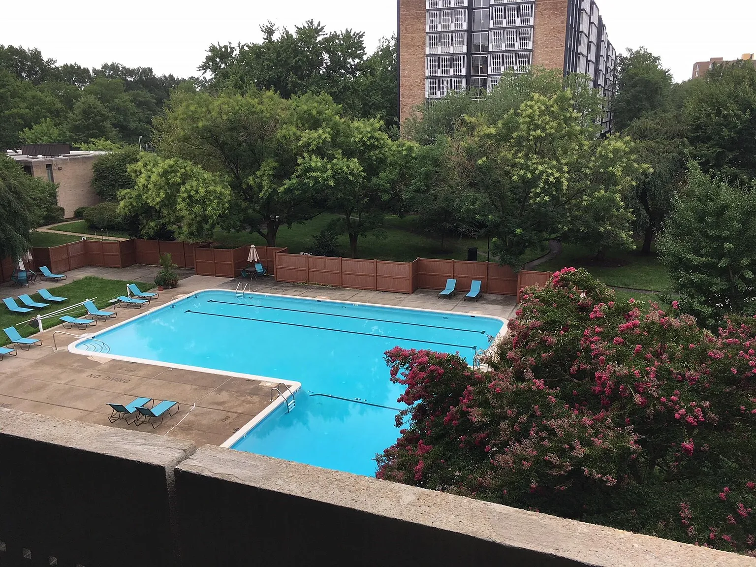 1 bed, 670 sqft, $1,900 — Photo 2