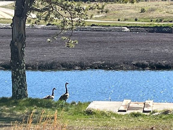 5th image of 0 Fawn Pond Rd