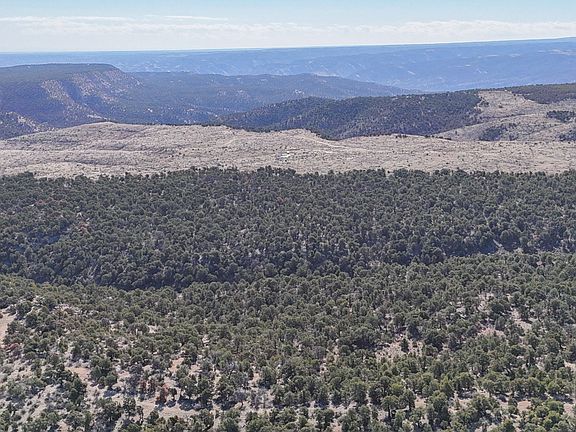 5th image of 1 W Elk Mdws S
