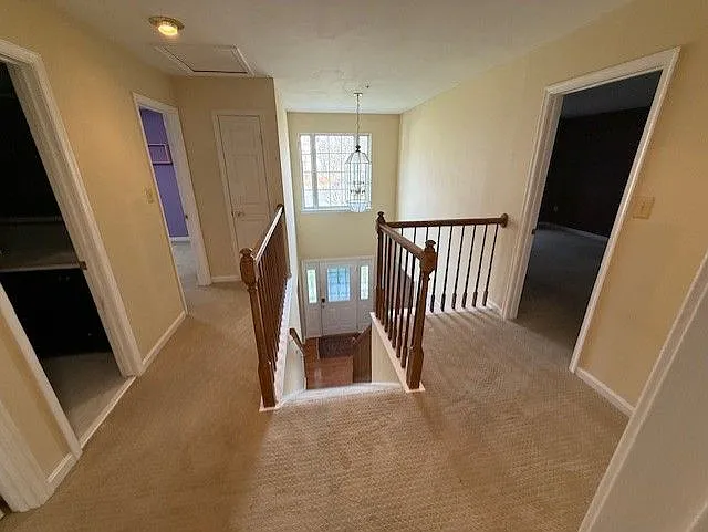 101 Shady Creek Ct — Photo 20