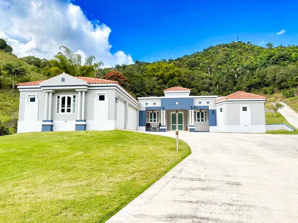 172 Urb Arroyata, Cidra, PR 00739