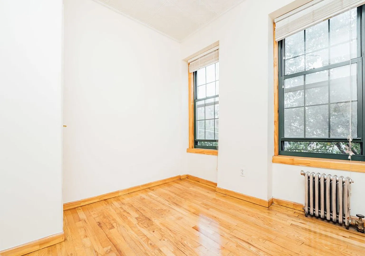 206 Scholes Street — Photo 3