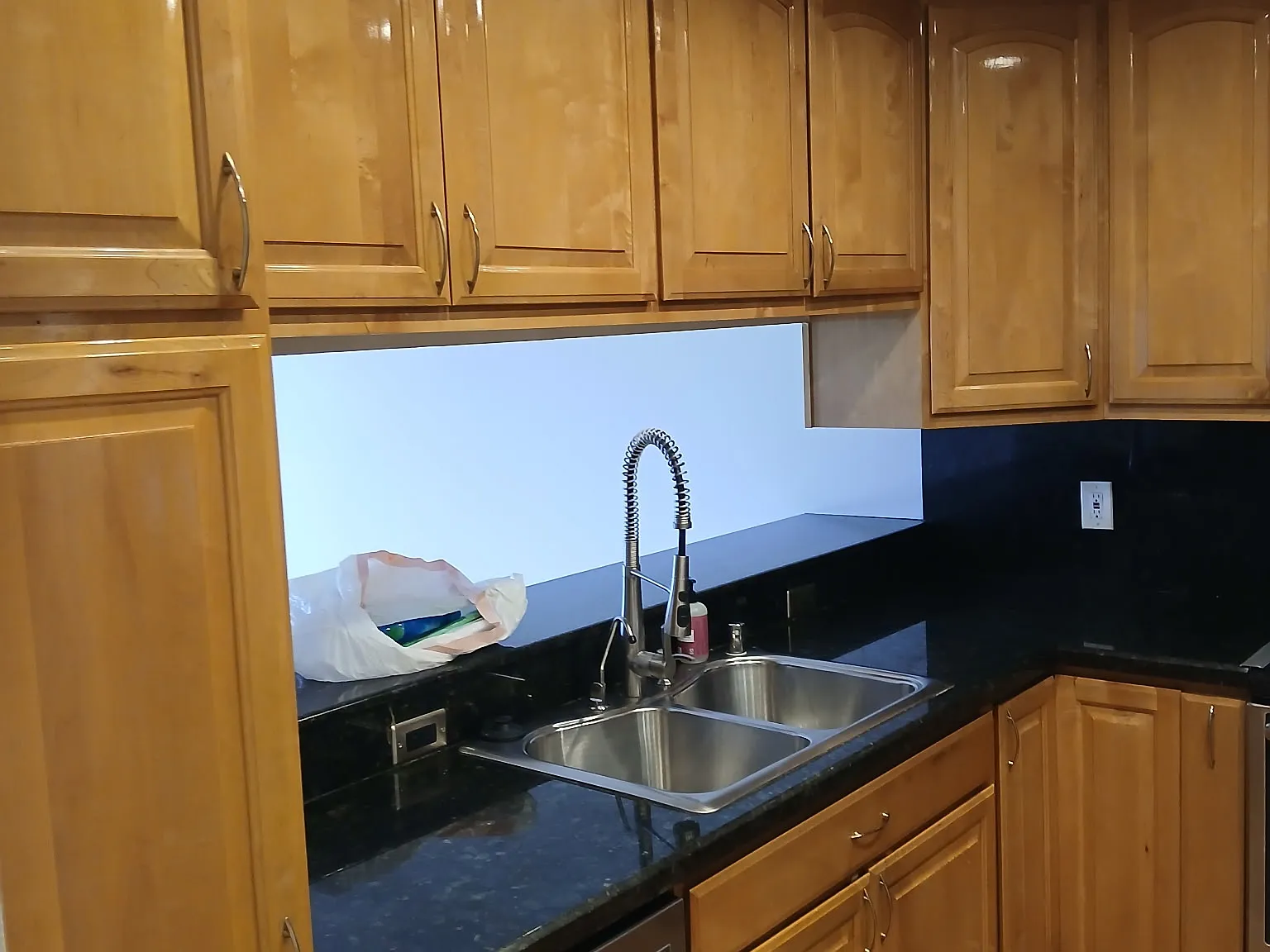 2 bed, 1302 sqft, $2,950 — Photo 3