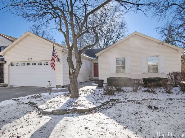 541 Caren Dr, Buffalo Grove, IL 60089