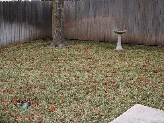 Fenced Backyard