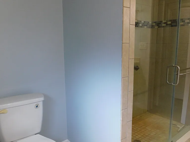 On the south side of the shower is the toilet.
