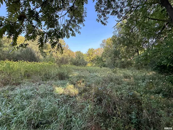 0 County Road 2, Smithfield, IL 61477