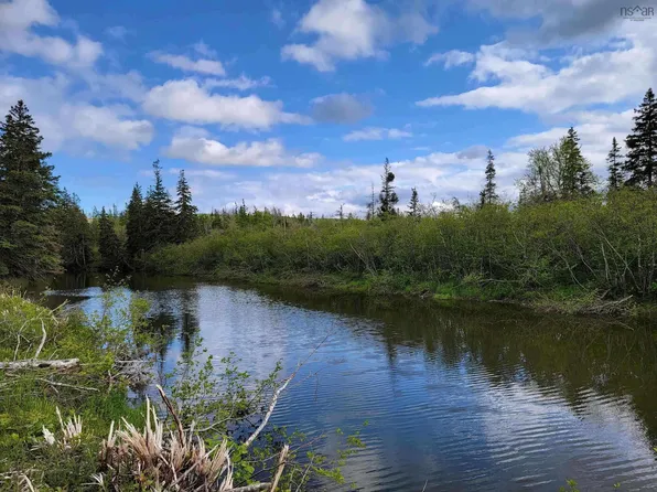 5 Barren Rd, River Denys, NS B0E 2Y0