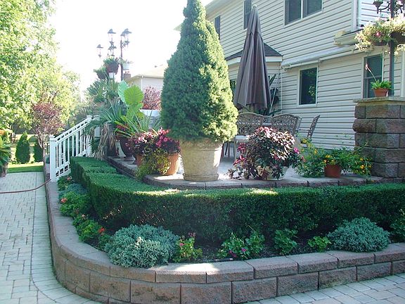 Paver Patio