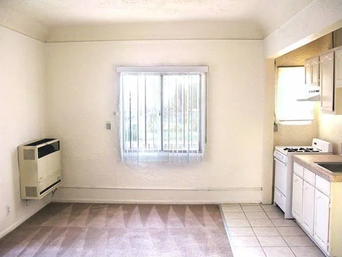 Living room/Kitchen