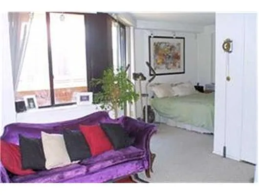 Rented by Douglas Elliman | media 8