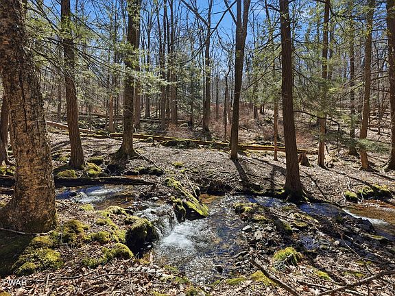 2nd image of 238 Rowland Rd