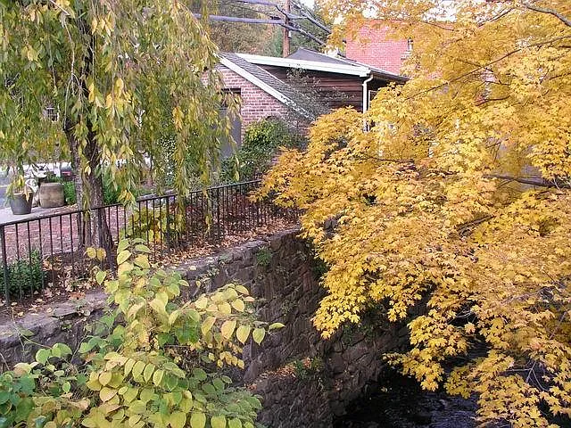 1 bed, 693 sqft, $2,950 — Photo 4