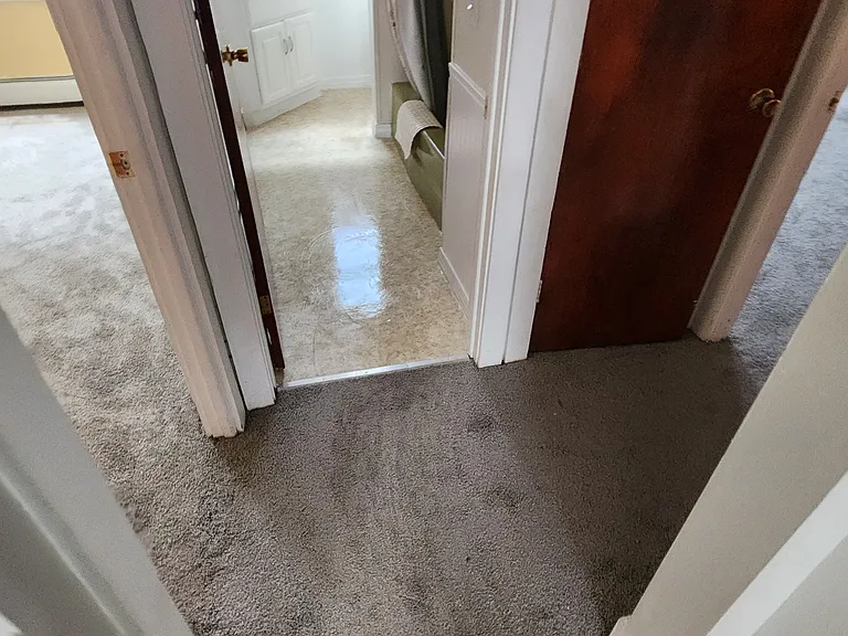 370 Winola Ave #1 — Photo 7