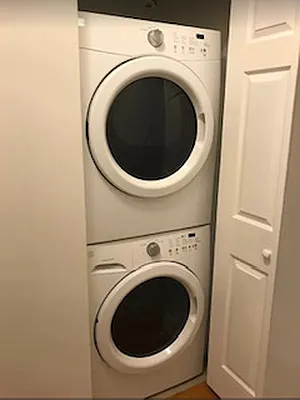 Rented by Douglas Elliman | media 3