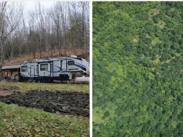 302 Jakes Ln, Driftwood, PA 15832