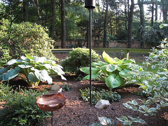 Hosta Garden