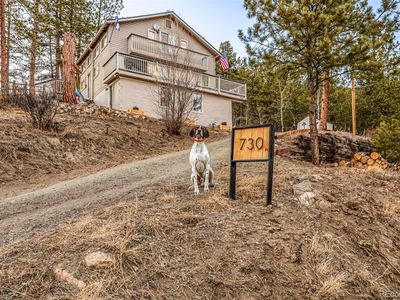 730 Bendemeer Drive, Evergreen, CO, 80439