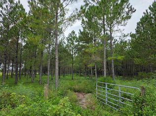 10830 Moore Rd, Lakeland, FL 33809