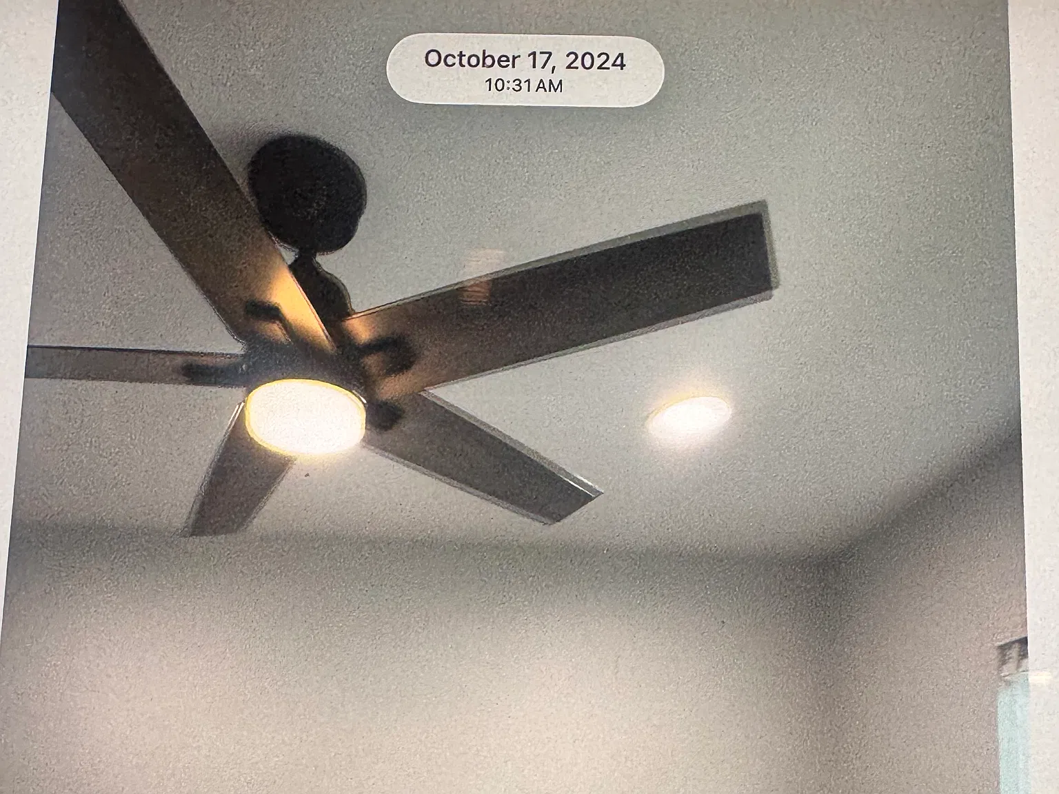 2 bed, 875 sqft, $2,895 — Photo 4