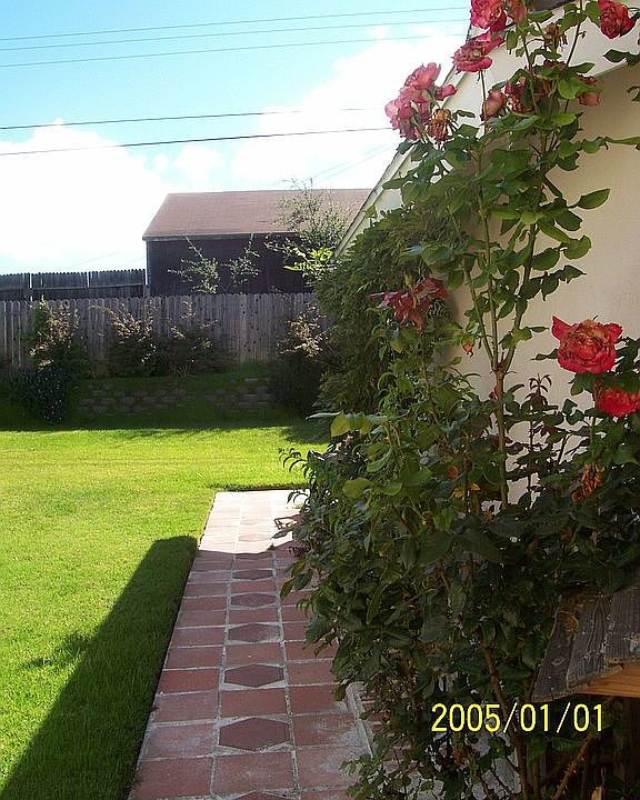 Rose garden on side of home