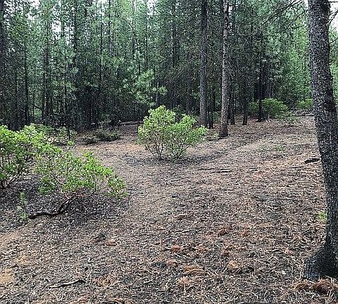 2nd image of 0 Emerald Meadows Way Lot 12