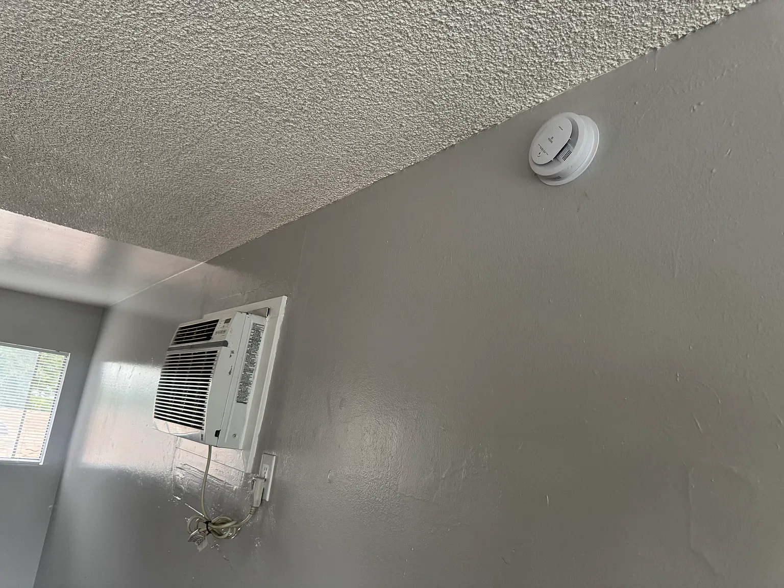 1 bed, 650 sqft, $1,600 — Photo 4