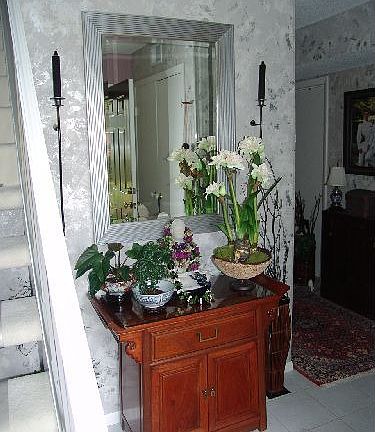 Entry foyer