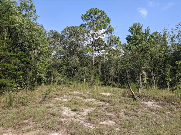 (undisclosed Address), Spring Hill, FL 34610
