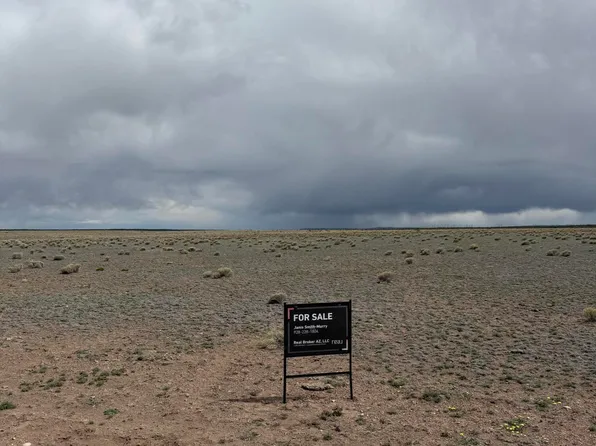 TBD N6465 -- #101, St Johns, AZ 85936
