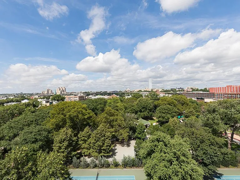 Roof Deck View of Hamilton Park