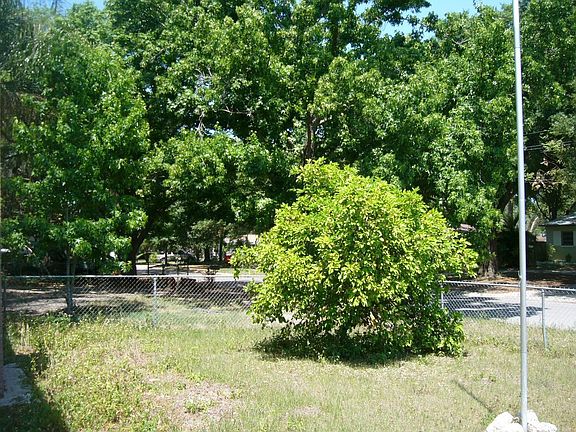 Front yard with citrus tree