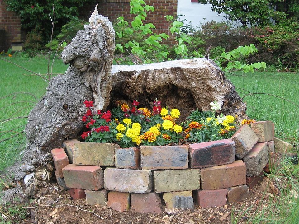 Flowers in front yard