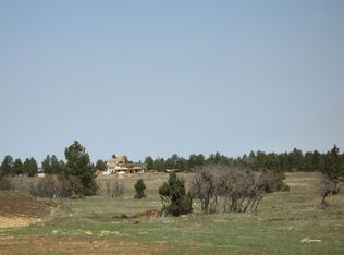 132 Bear Cub Dr, Ridgway, CO 81432