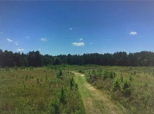 911 Old Ccc Rd, Brunswick, GA 31523