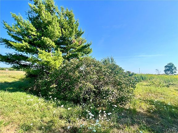 4th image of 24458 Dano Rd #56
